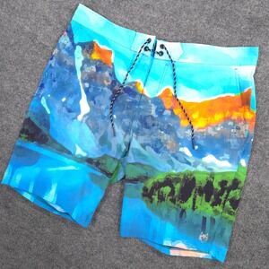 Greyson Board Shorts Mens 38 Abstract Outdoor Landscape Print Stretch Drawstring